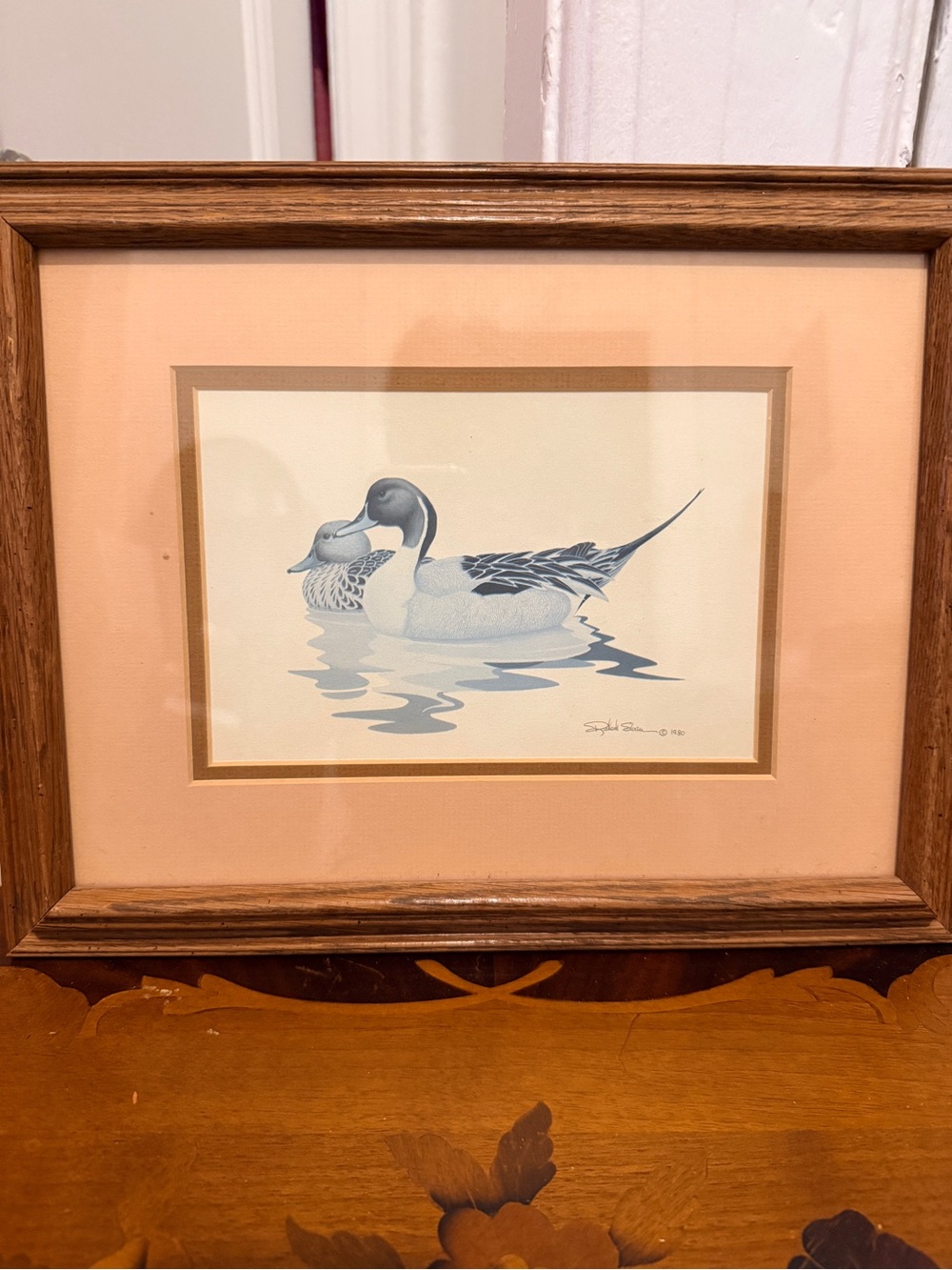 Vintage Richard Sloan Pintail Duck Framed Art Print 1980 14x11